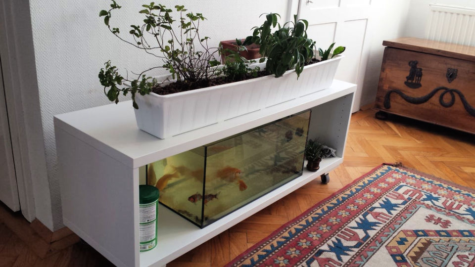 Useful Diy Aquaponics Systems And Plans Blitsy