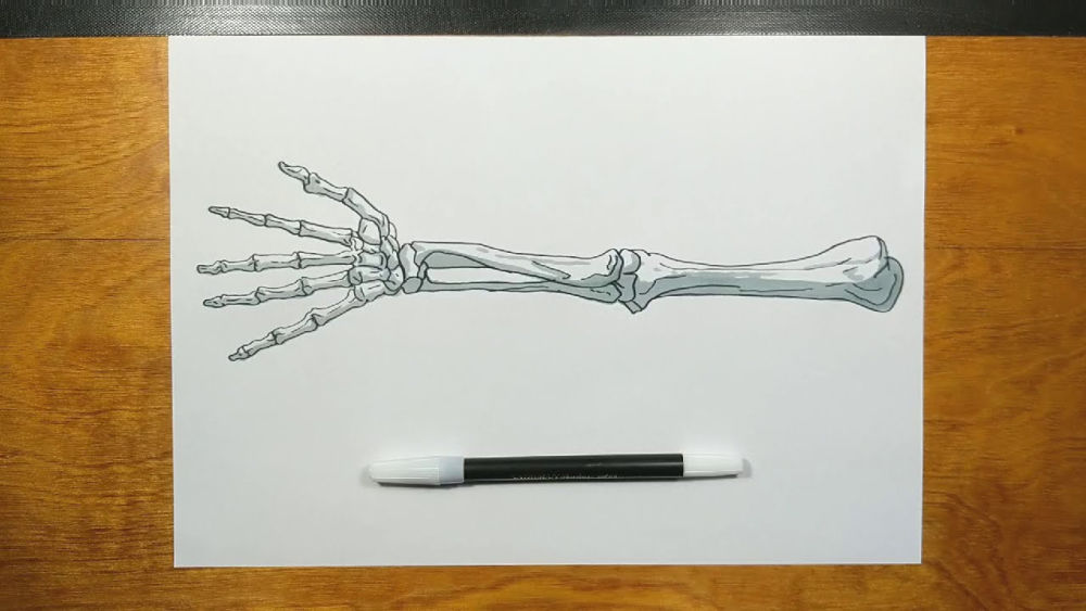 25 Easy Skeleton Drawing Ideas How To Draw A Skeleton