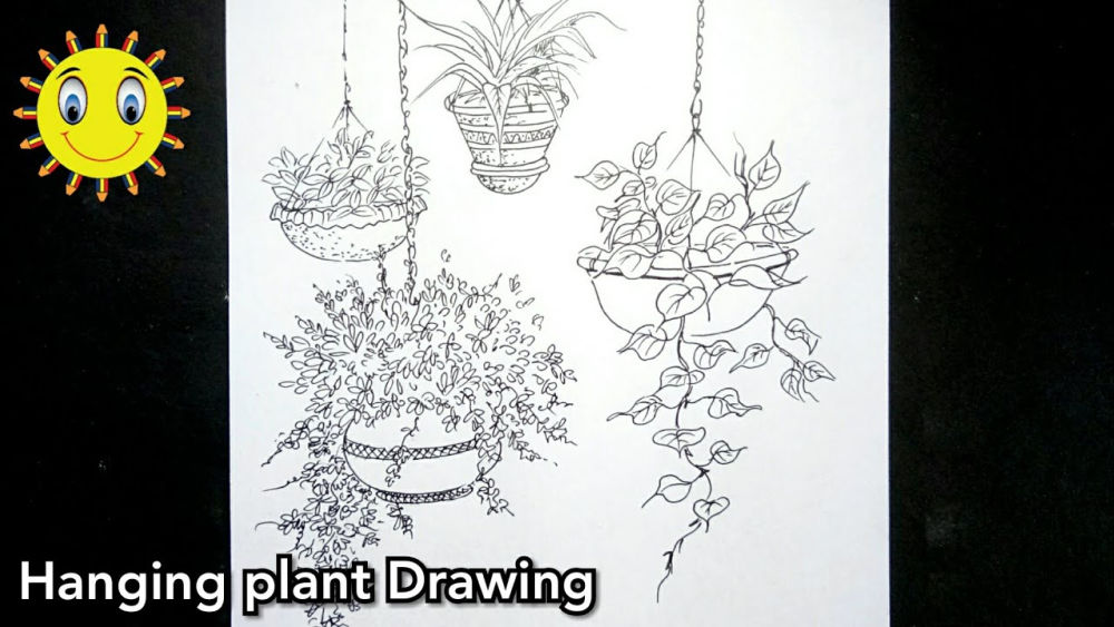 Easy Plant Drawing Ideas How To Draw A Plant