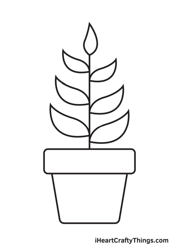 Easy Plant Drawing Ideas How To Draw A Plant