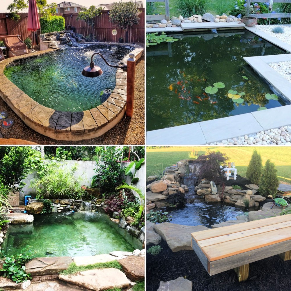 Diy Koi Pond Your Backyard Oasis Blitsy