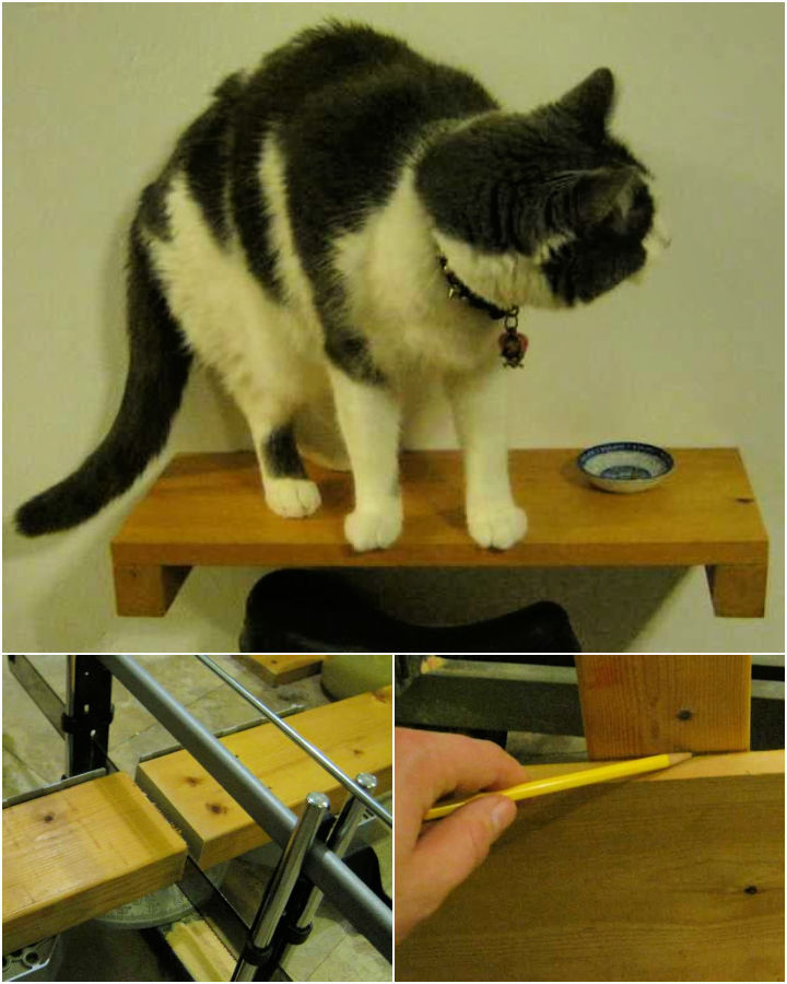 16 Creative DIY Cat Shelves and Cat Wall Ideas Blitsy