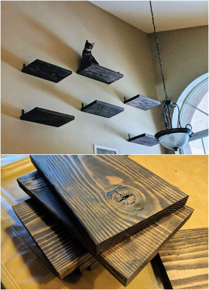 16 Creative DIY Cat Shelves and Cat Wall Ideas Blitsy