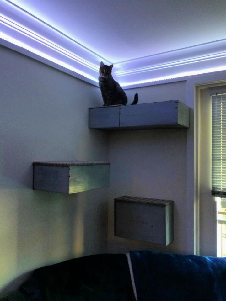 16 Creative Diy Cat Shelves And Cat Wall Ideas Blitsy