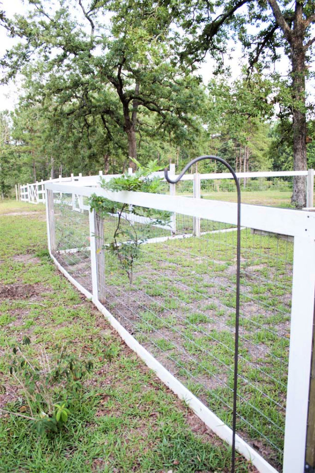 23 Durable DIY Garden Fence Ideas To Keep Your Gaden Safe