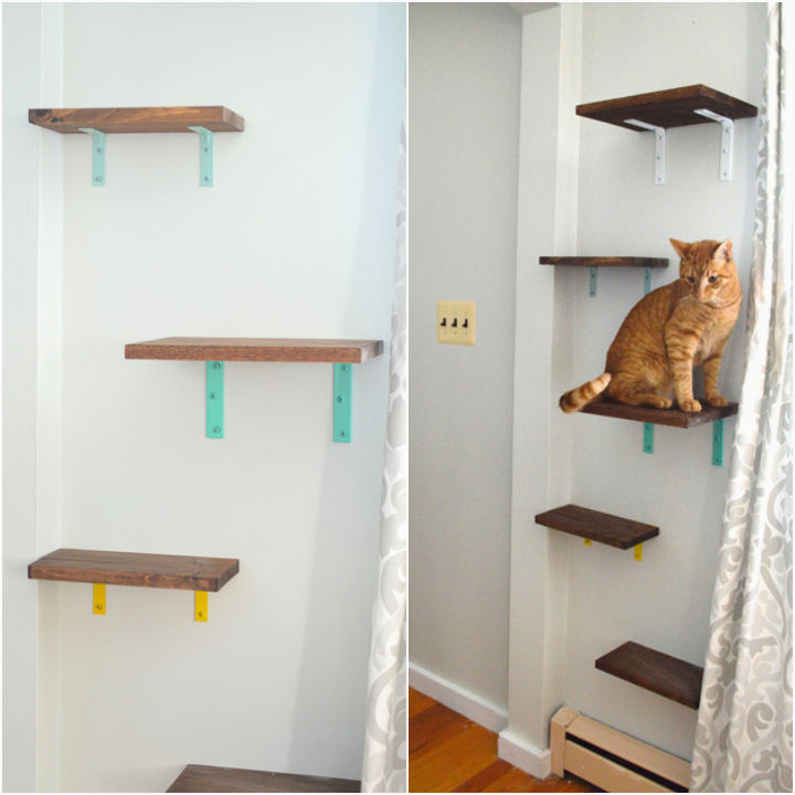 16 Creative DIY Cat Shelves and Cat Wall Ideas Blitsy