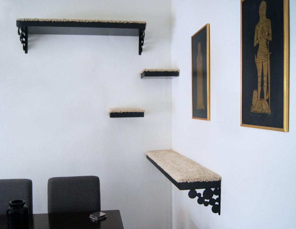 16 Creative DIY Cat Shelves and Cat Wall Ideas Blitsy