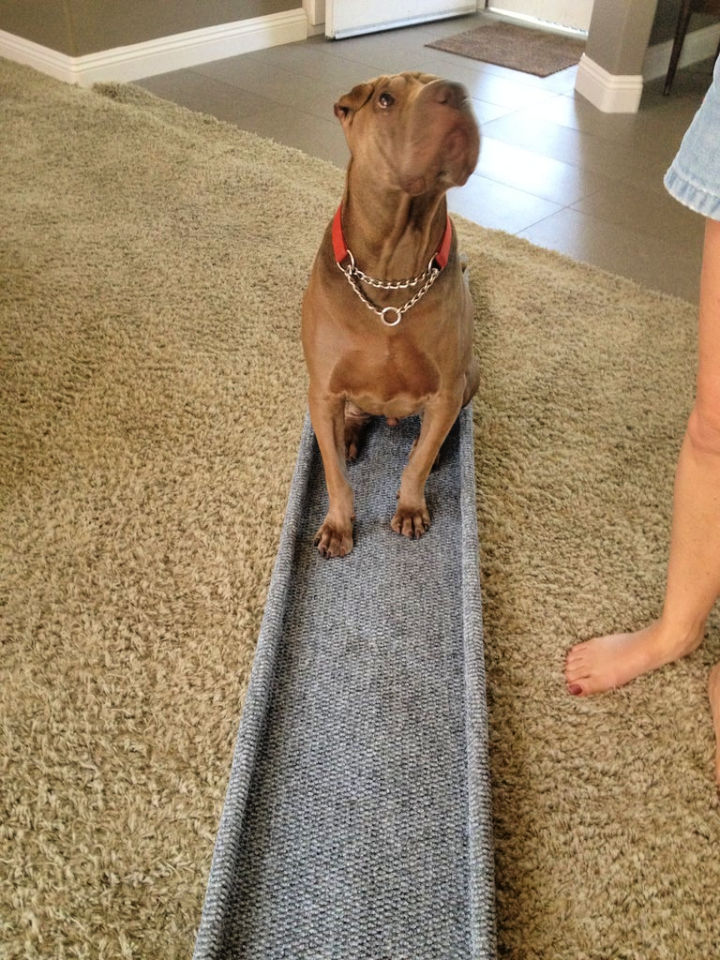 DIY Dog Ramp (25 Free Plans) - Blitsy