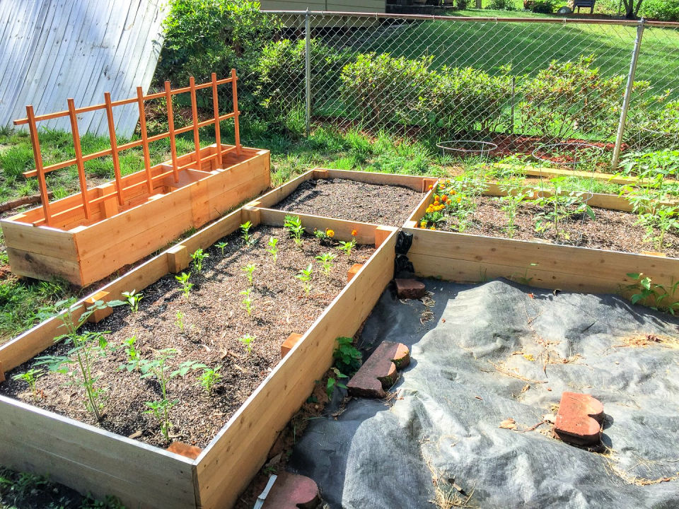 40 Easy to Build Raised Garden Bed Plans - Blitsy