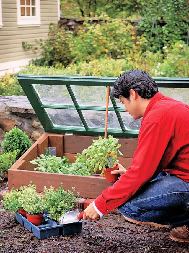 18 DIY Cold Frame Plans To Build Blitsy