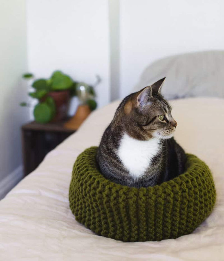 30 Unique DIY Cat Bed Ideas That Anyone Can Make Blitsy