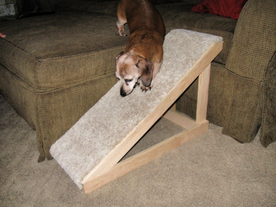 DIY Dog Ramp (25 Free Plans) - Blitsy