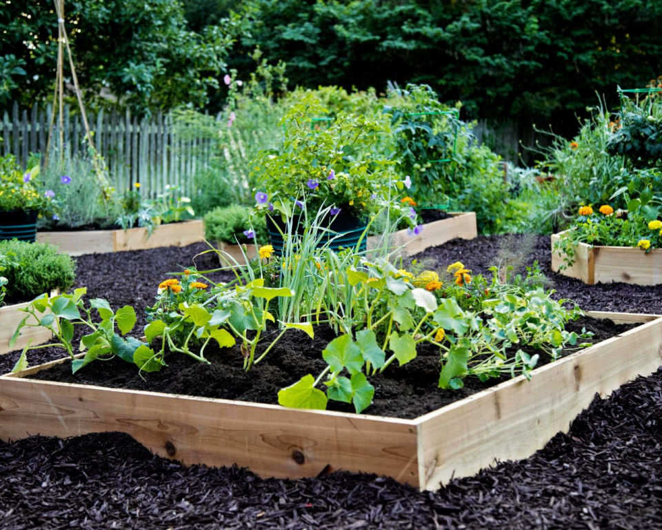 40 Easy to Build Raised Garden Bed Plans - Blitsy