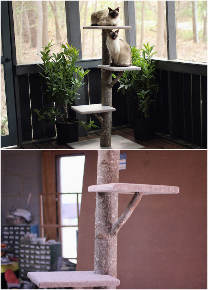 25 Free DIY Cat Tree Plans with Detailed Instructions - Blitsy