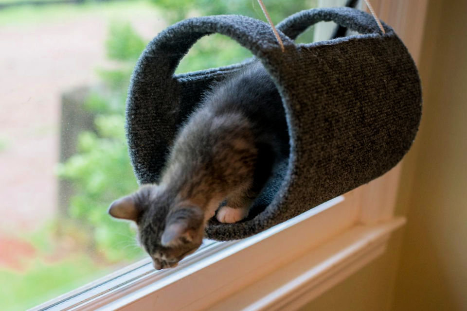 30 Unique DIY Cat Bed Ideas That Anyone Can Make Blitsy