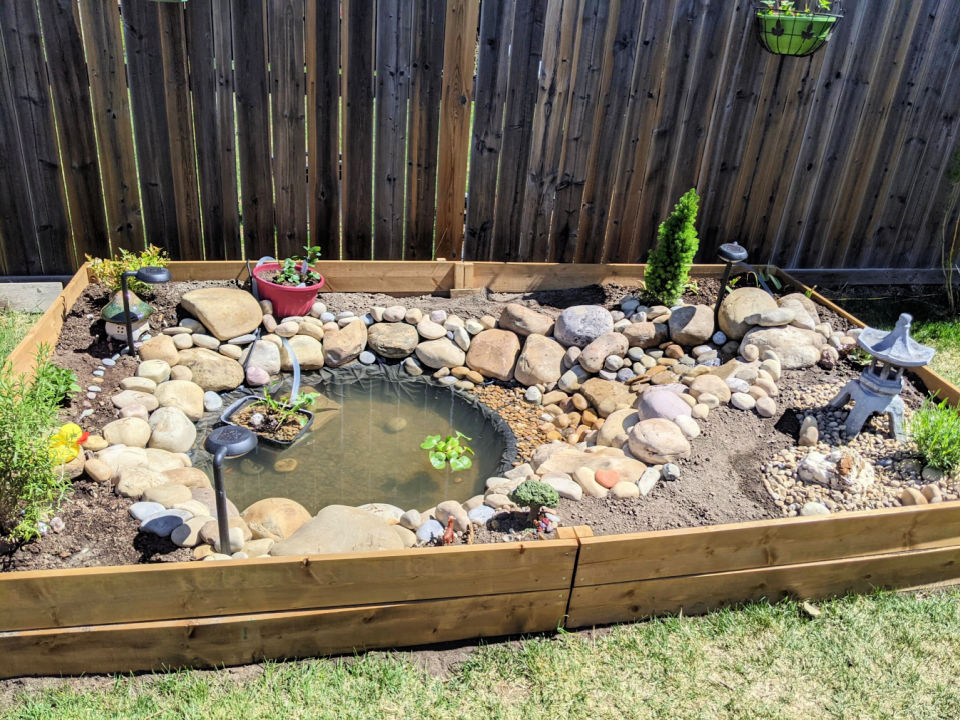 How to Build a Pond Step by Step Guide Blitsy