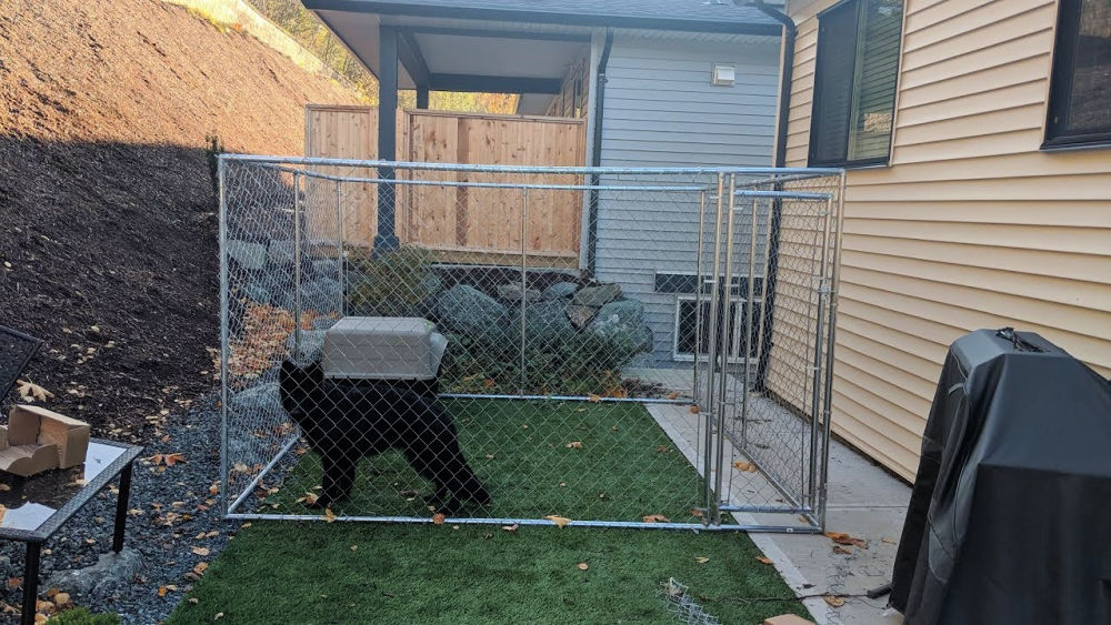 Cheap DIY Dog Kennel - Step by Step Instructions - Blitsy