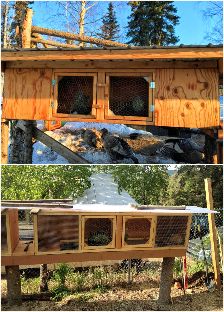 30 Free DIY Rabbit Hutch Plans You Can Build Blitsy