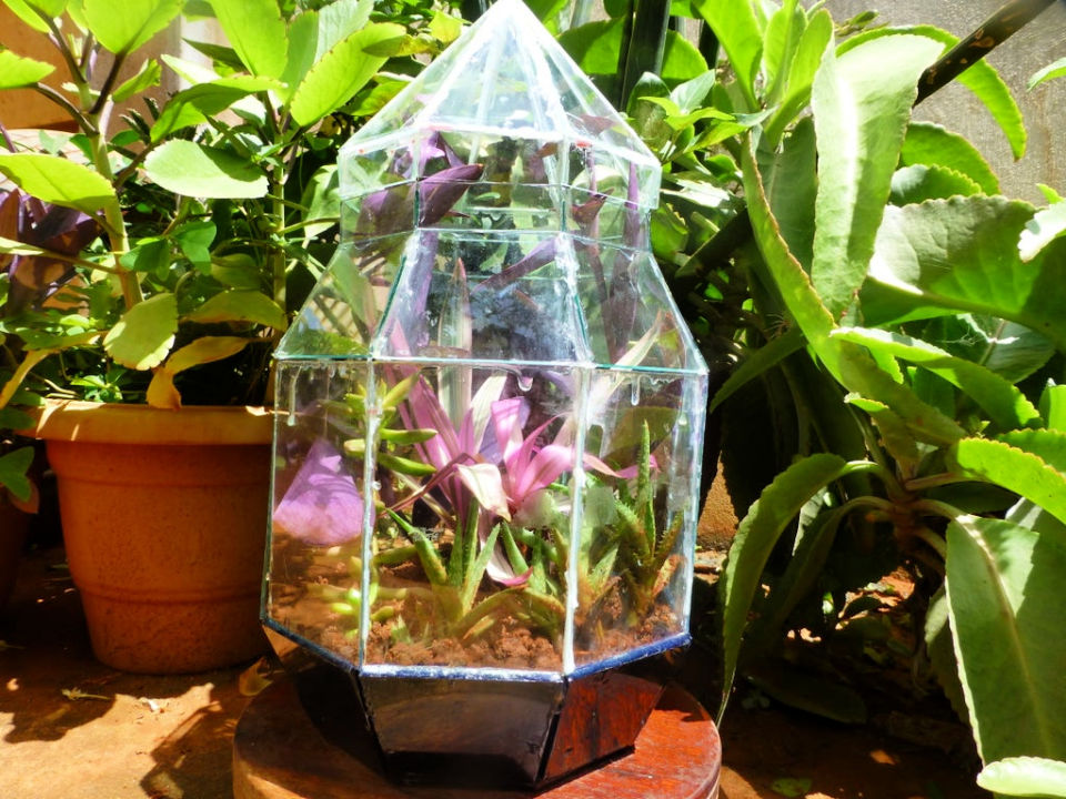 How to Make a Terrarium - Step by Step Guide - Blitsy