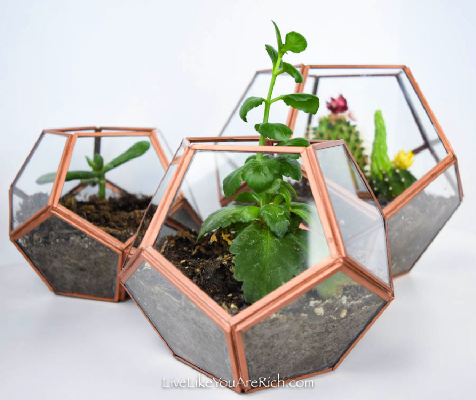 How to Make a Terrarium - Step by Step Guide - Blitsy