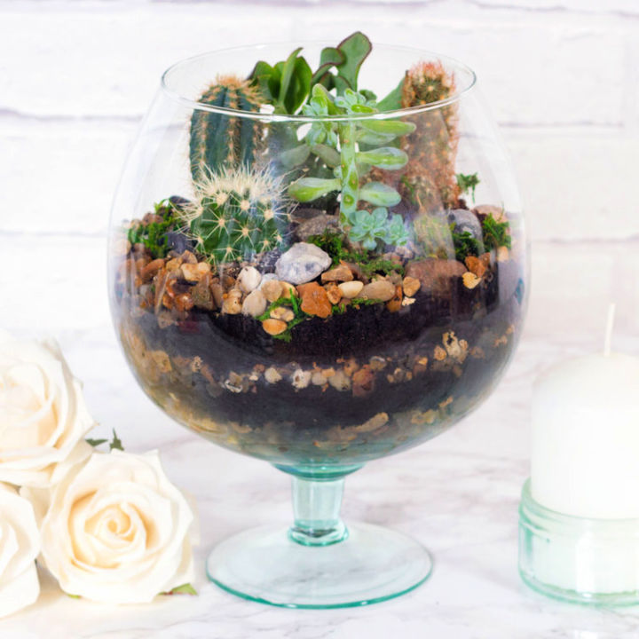 How to Make a Terrarium - Step by Step Guide - Blitsy