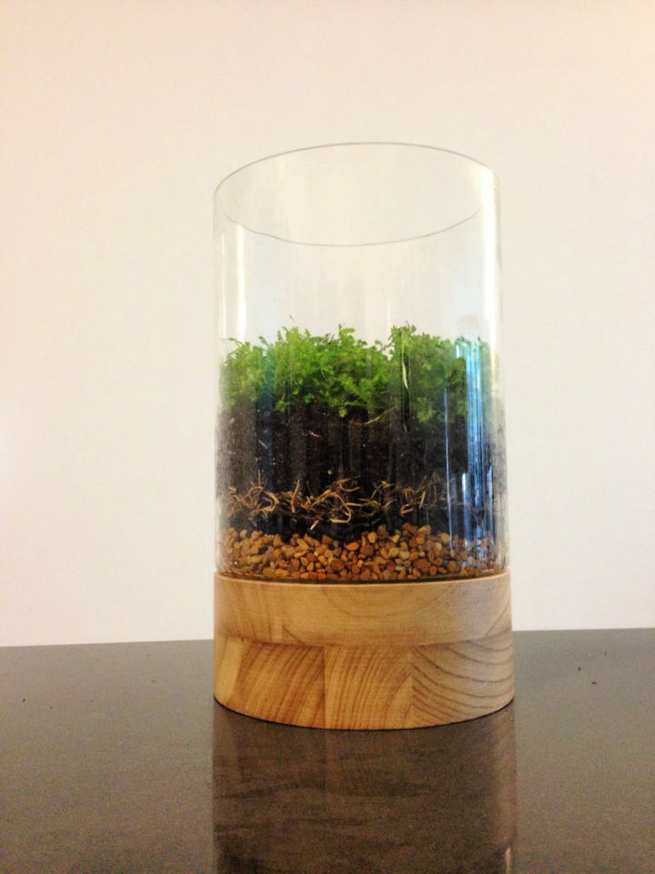 How to Make a Terrarium - Step by Step Guide - Blitsy