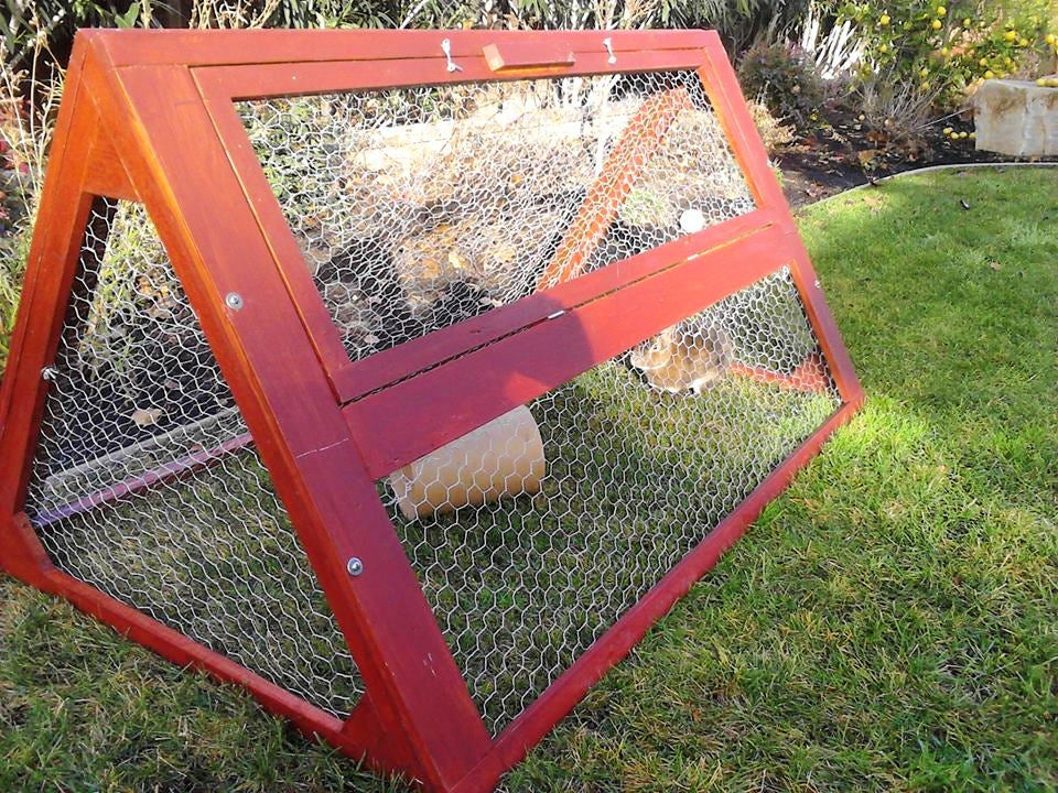 30 Free DIY Rabbit Hutch Plans You Can Build - Blitsy