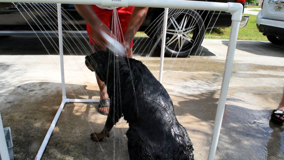 30 Outdoor Shower Ideas For Backyard to DIY This Summer Blitsy