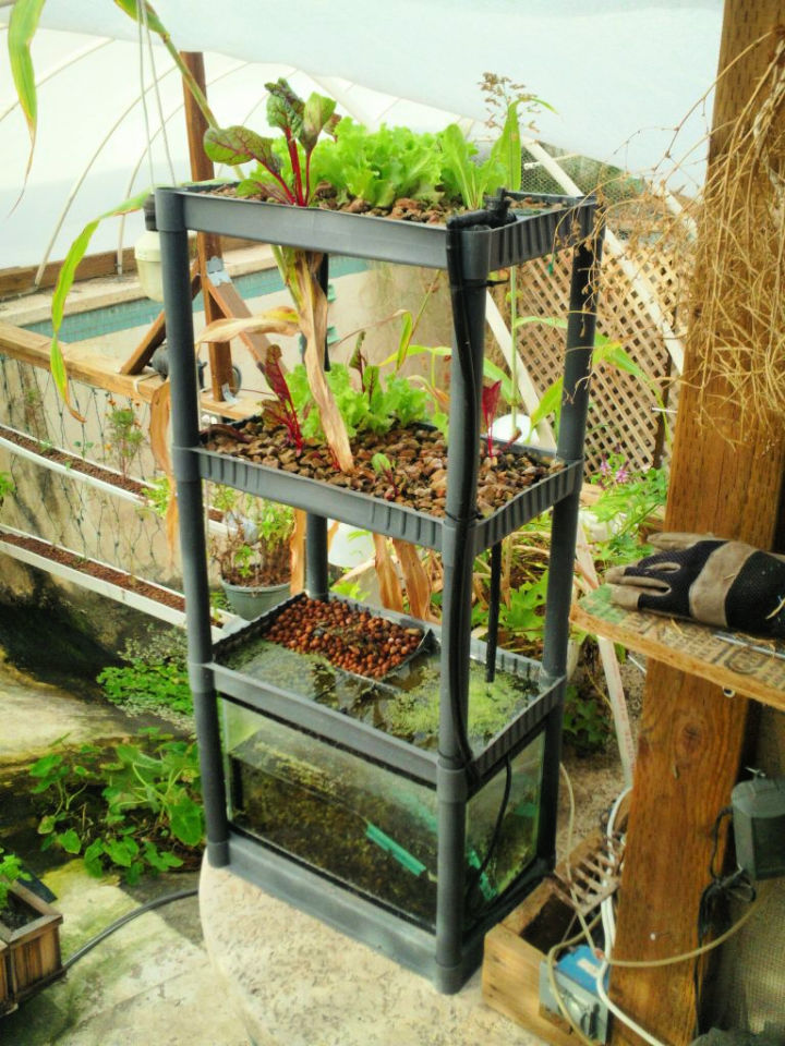 20 Useful DIY Aquaponics Systems and Plans Blitsy