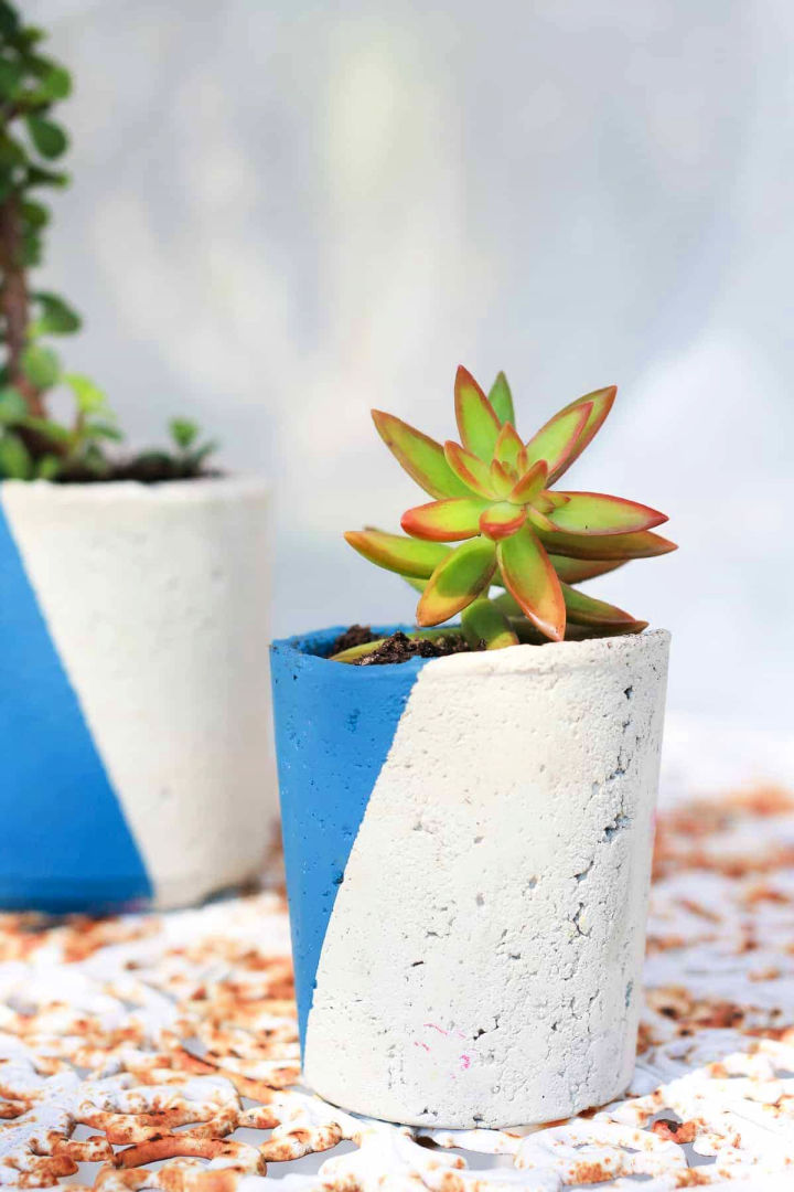 25 Brilliant DIY Concrete Planters To Make - Blitsy