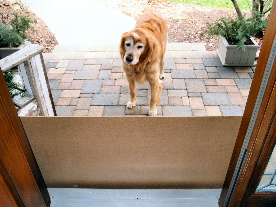 25 DIY Dog Gate Ideas and Plans Install Easy DIY Pet Gate
