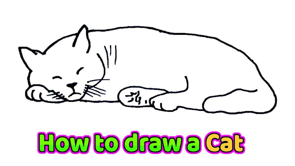 30 Cute and Easy Cat Drawing Ideas - How To Draw A Cat - Blitsy