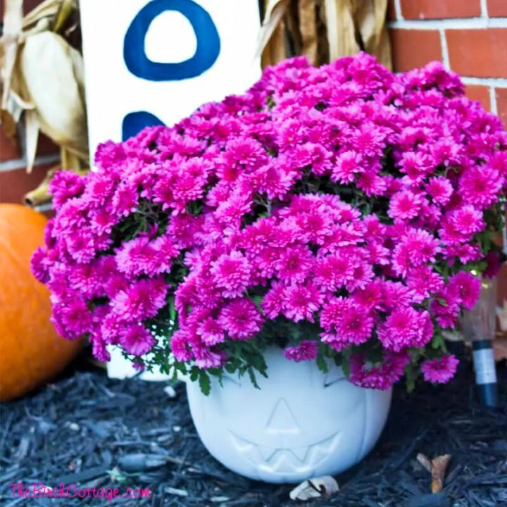 25 Simple Ways to Make a Pumpkin Planter - Blitsy