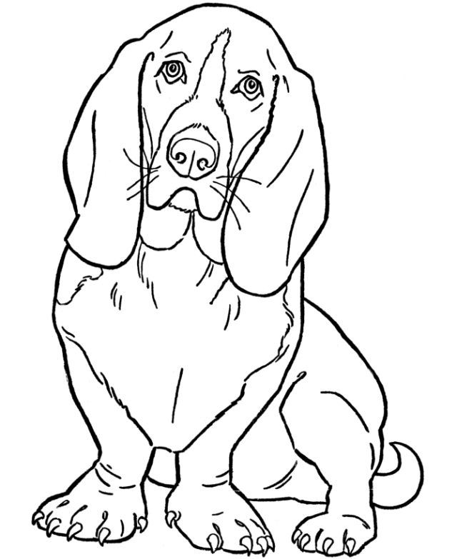 25 Free Printable Dog Coloring Pages for Kids and Adults