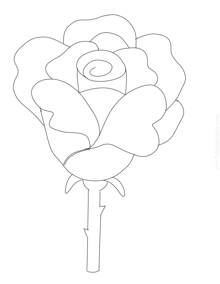 25 Easy Rose Drawing Ideas - How to Draw a Rose