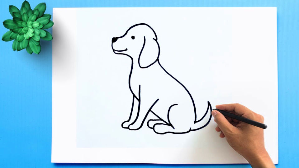 25 Easy Dog Drawing Ideas - How to Draw a Dog