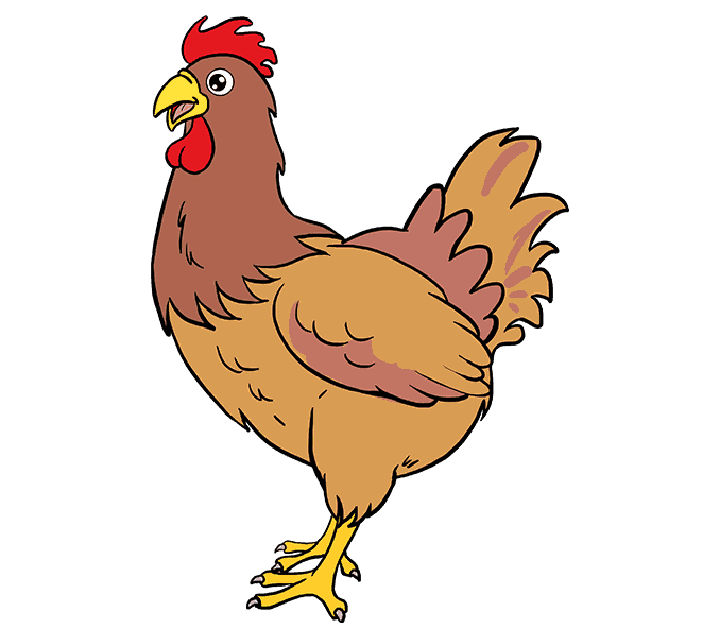 25 Easy Chicken Drawing Ideas - How to Draw a Chicken