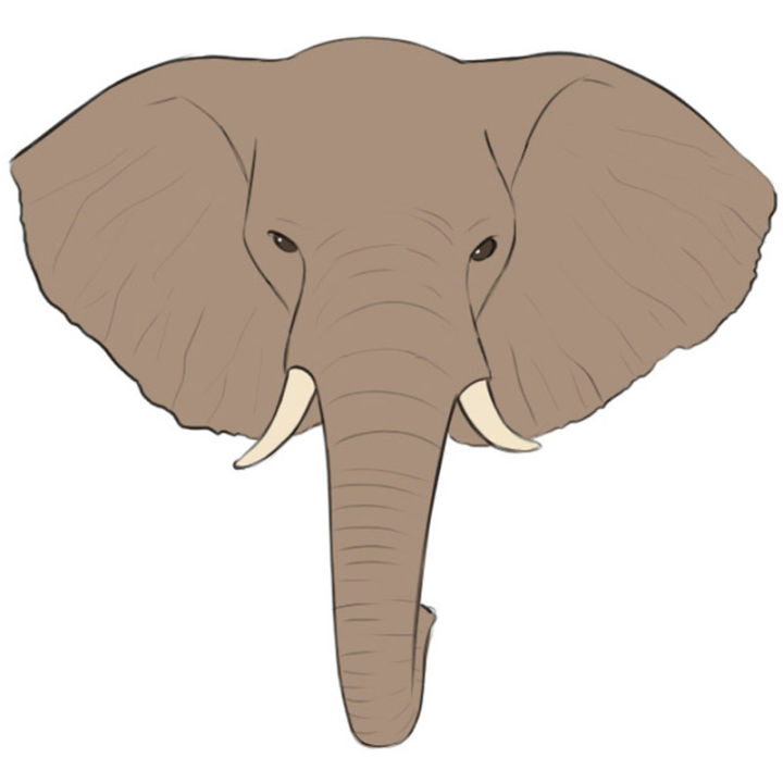 25 Easy Elephant Drawing Ideas How to Draw an Elephant