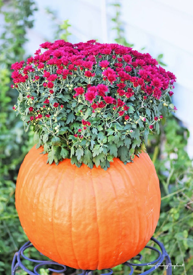 25 Simple Ways to Make a Pumpkin Planter - Blitsy