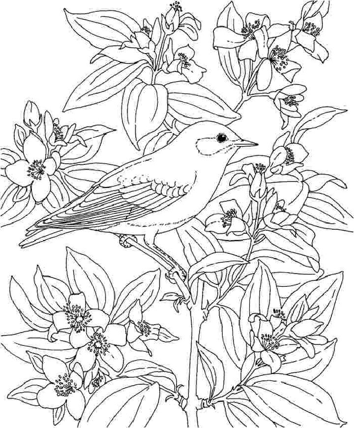 25 Free Flower Coloring Pages for Kids and Adults