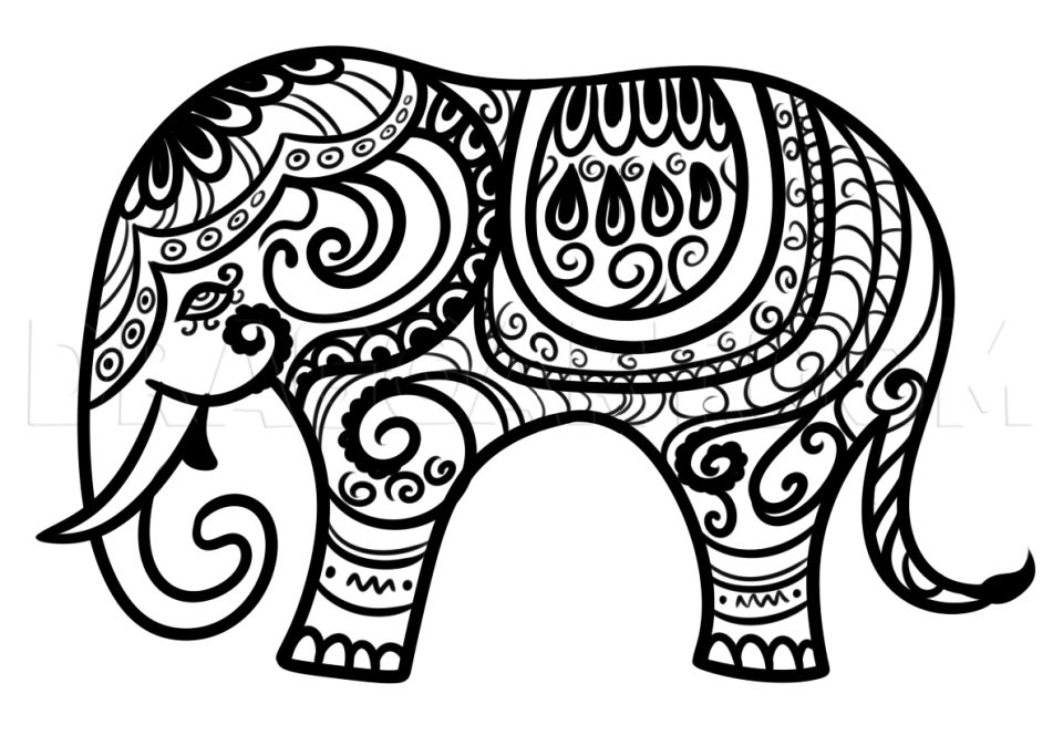 25 Easy Elephant Drawing Ideas - How to Draw an Elephant