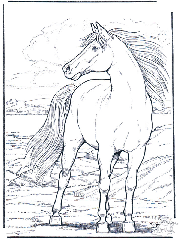 25 Free Horse Coloring Pages for Kids and Adults Blitsy