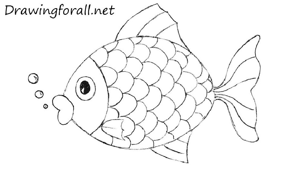 Fish Simple Drawing Reference 25 Easy Fish Drawing Ideas - How to Draw a Fish