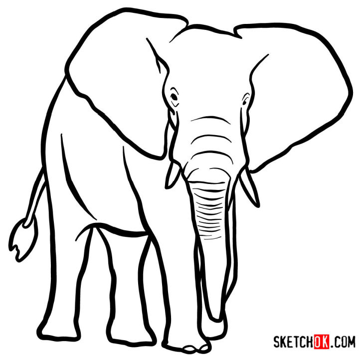 25 Easy Elephant Drawing Ideas - How to Draw an Elephant