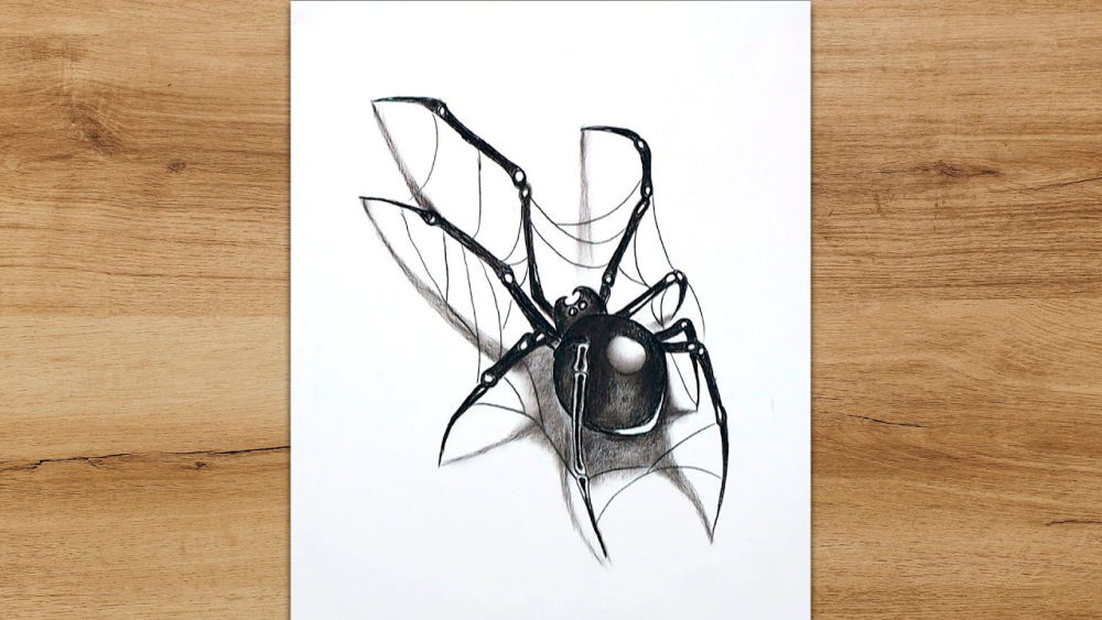 25 Easy Spider Drawing Ideas How to Draw a Spider