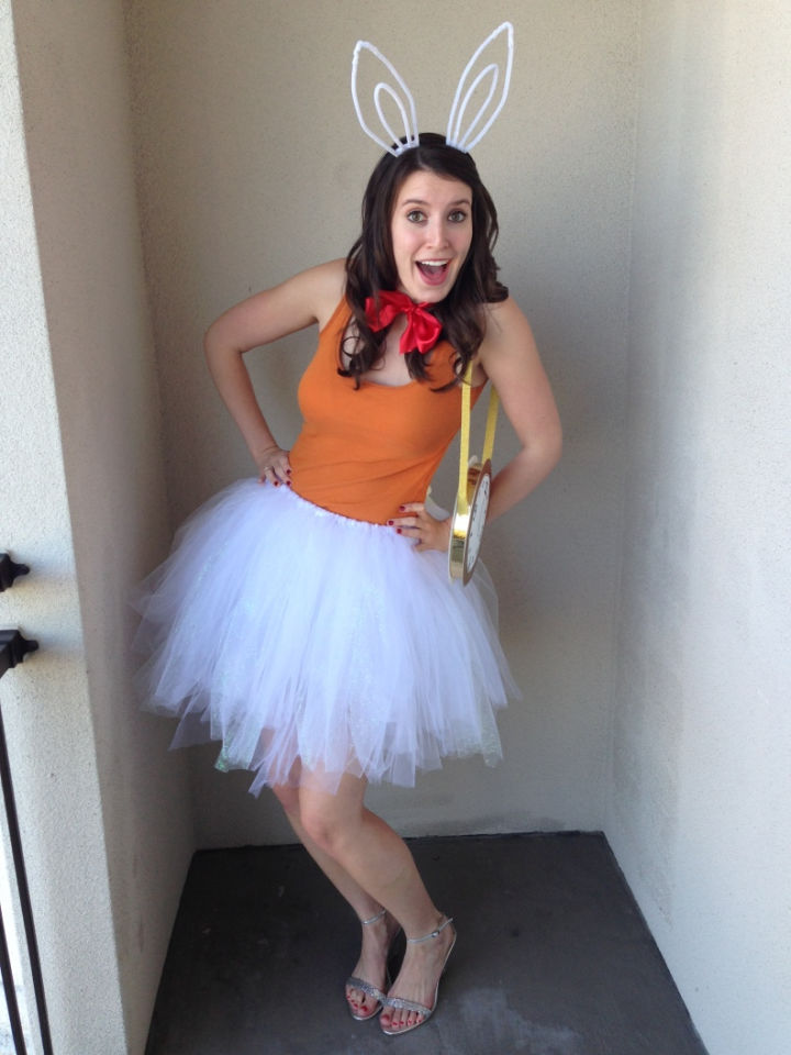 20 DIY Alice in Wonderland Costume Ideas 2024 - Blitsy