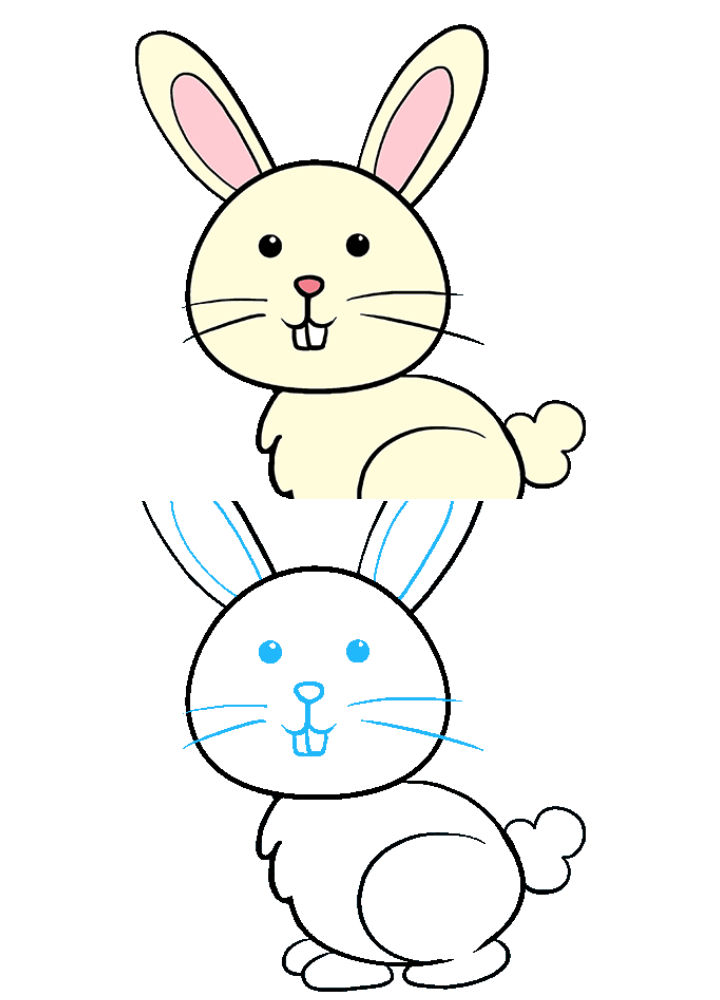 25 Easy Bunny Drawing Ideas - How to Draw a Bunny