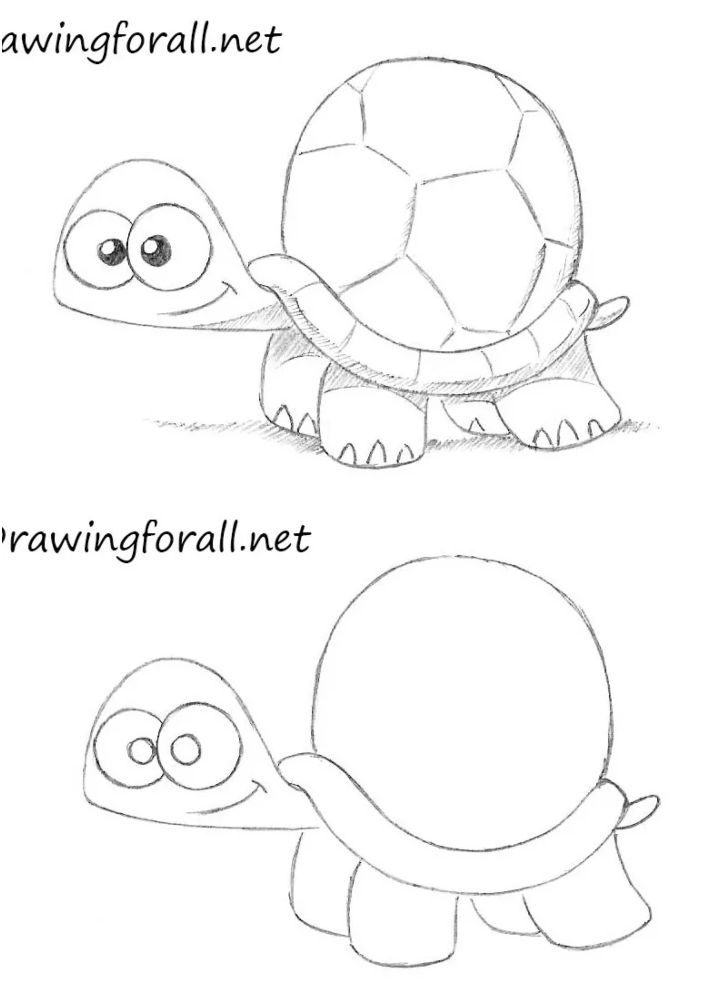 How to Draw a Cute Easy Turtle - Meserve Busionea