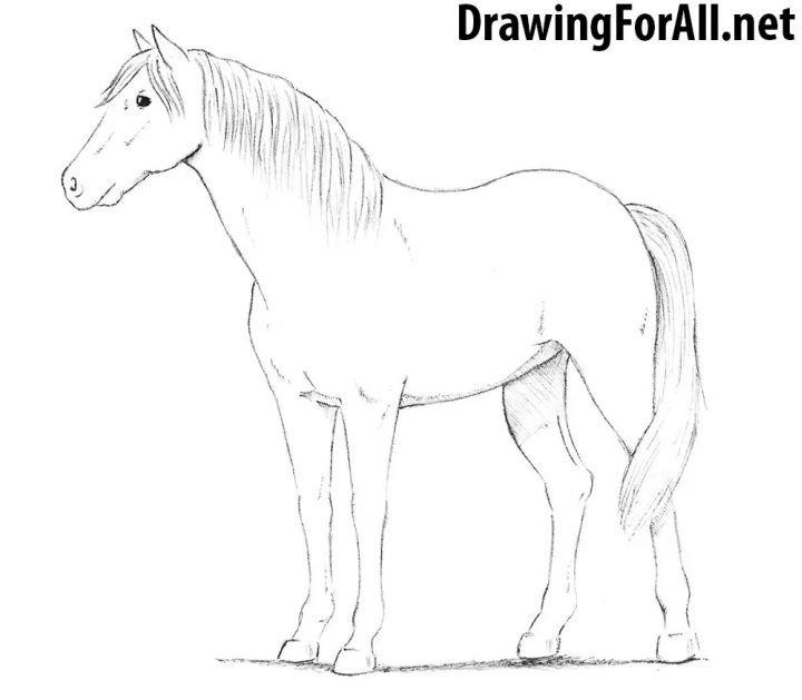 25 easy horse drawing ideas how to draw a horse blitsy