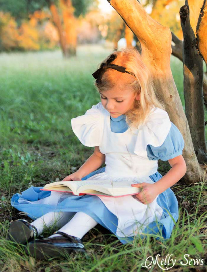 20 DIY Alice in Wonderland Costume Ideas 2024 Blitsy